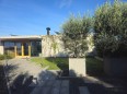 Las macetas ultralivianas y sin base permiten que las raíces de los olivos se extiendan radialmente a través del sustrato Zincoterra y las gravas inferiores circuandantes, sin quedar limitadas al contenedor. Fabricadas en sistema EIFS, contribuyen a mantener una temperatura más estable, como si estuvieran bajo tierra.